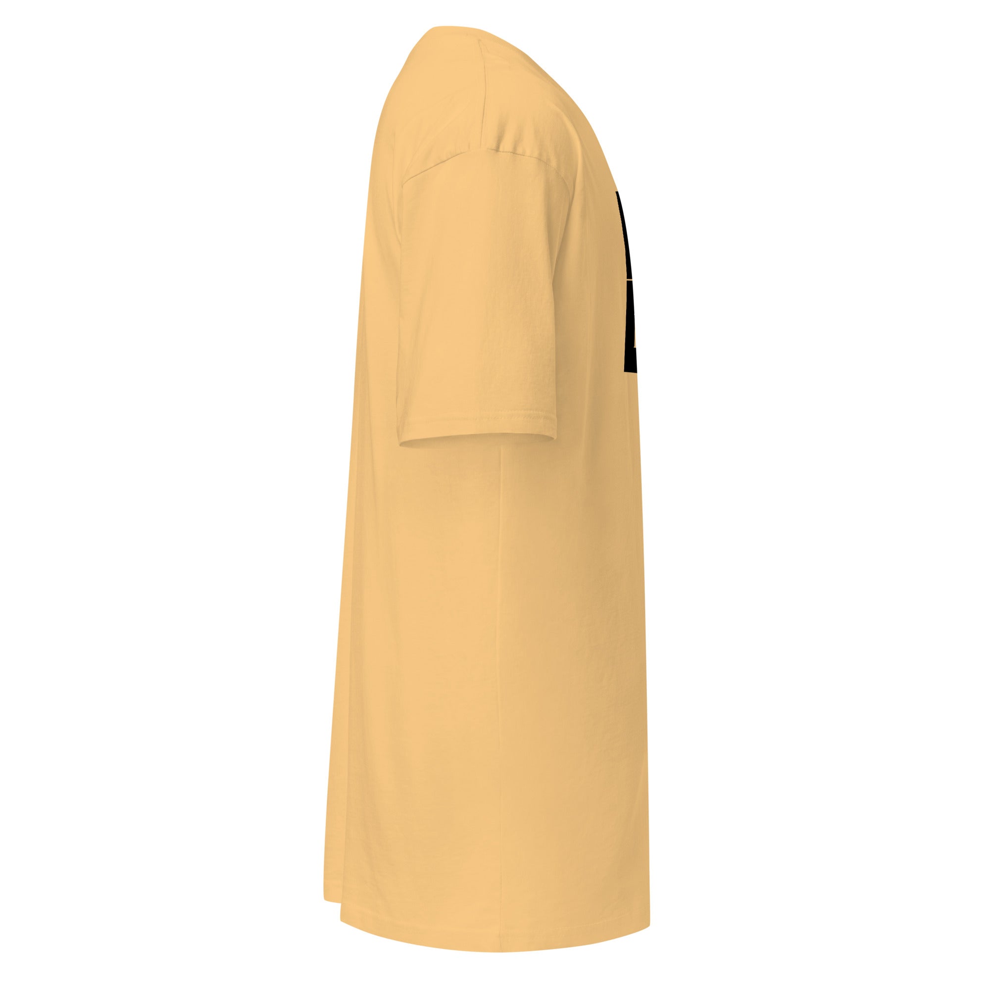 Classic Careless Men’s Heavyweight Tee