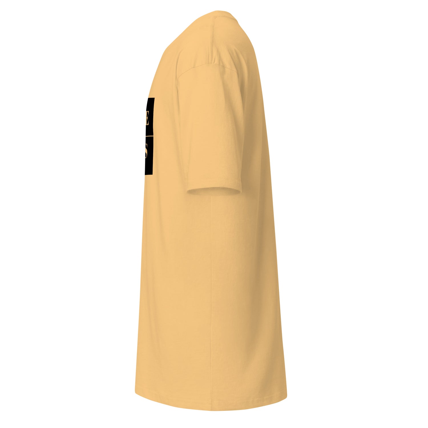 Classic Careless Men’s Heavyweight Tee